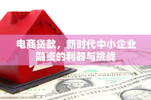 张掖电商贷款，新时代中小企业融资的利器与挑战