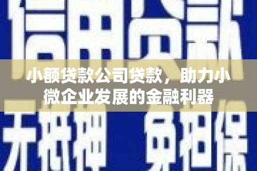张掖小额贷款公司贷款，助力小微企业发展的金融利器