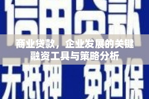 张掖商业贷款，企业发展的关键融资工具与策略分析