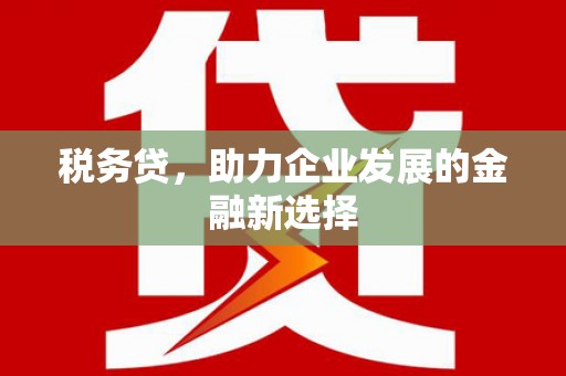 张掖税务贷，助力企业发展的金融新选择