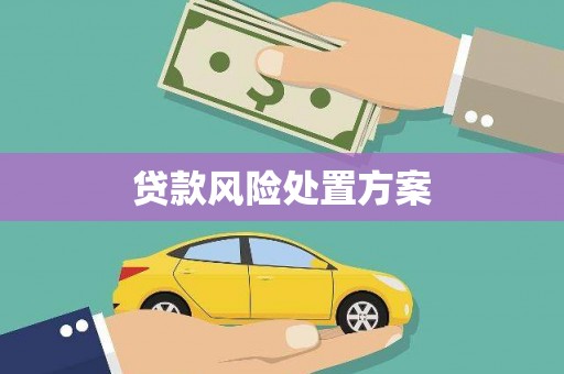 张掖贷款风险处置方案
