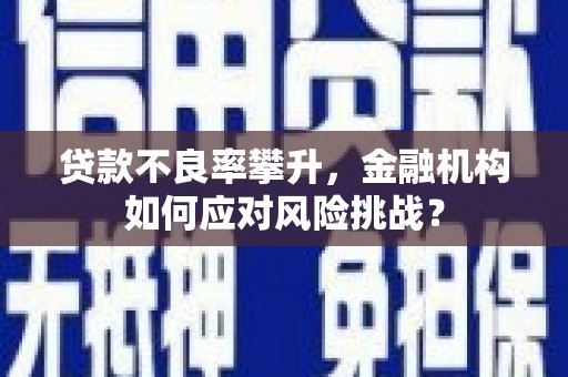 张掖贷款不良率攀升，金融机构如何应对风险挑战？
