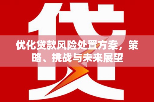 张掖优化贷款风险处置方案，策略、挑战与未来展望