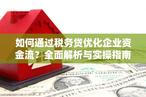 张掖如何通过税务贷优化企业资金流？全面解析与实操指南