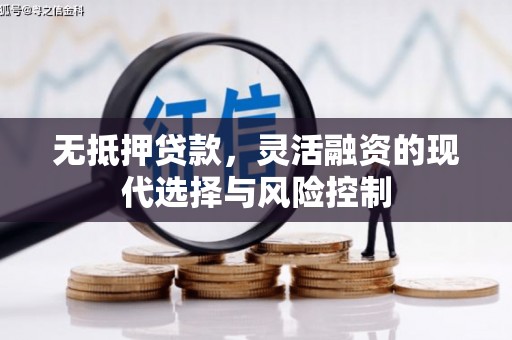 张掖无抵押贷款，灵活融资的现代选择与风险控制