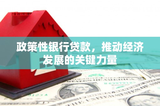 张掖政策性银行贷款，推动经济发展的关键力量
