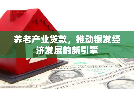 张掖养老产业贷款，推动银发经济发展的新引擎