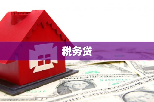 张掖税务贷