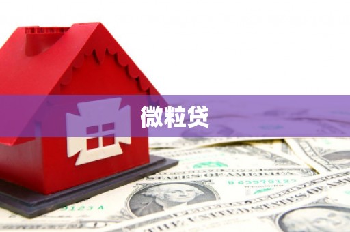 张掖微粒贷