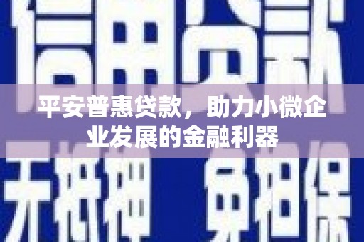 张掖平安普惠贷款，助力小微企业发展的金融利器
