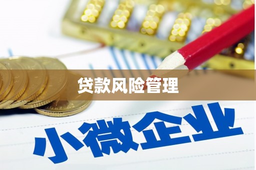 张掖贷款风险管理