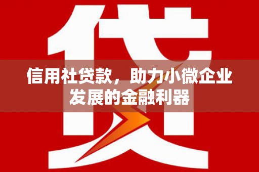 张掖信用社贷款，助力小微企业发展的金融利器