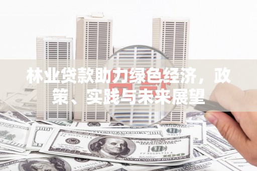 张掖林业贷款助力绿色经济，政策、实践与未来展望