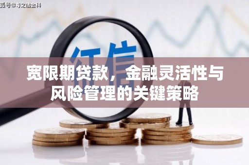 张掖宽限期贷款，金融灵活性与风险管理的关键策略