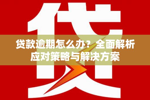 张掖贷款逾期怎么办？全面解析应对策略与解决方案