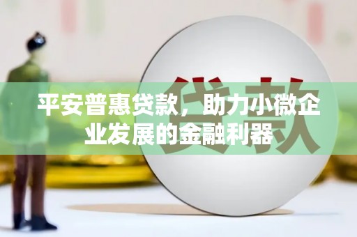 张掖平安普惠贷款，助力小微企业发展的金融利器