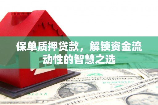张掖保单质押贷款，解锁资金流动性的智慧之选