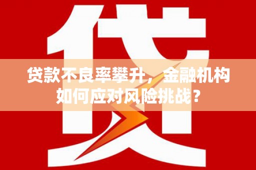 张掖贷款不良率攀升，金融机构如何应对风险挑战？