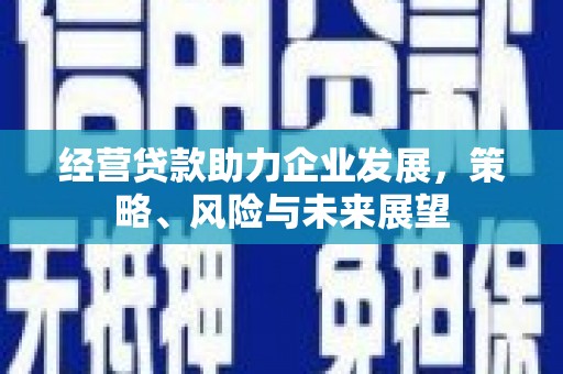 张掖经营贷款助力企业发展，策略、风险与未来展望