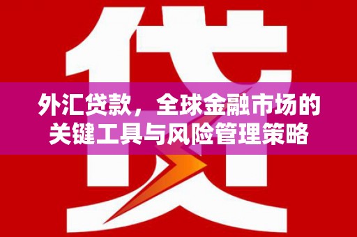 张掖外汇贷款，全球金融市场的关键工具与风险管理策略