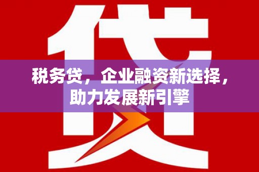 张掖税务贷，企业融资新选择，助力发展新引擎