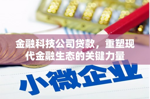张掖金融科技公司贷款，重塑现代金融生态的关键力量