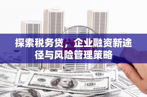 张掖探索税务贷，企业融资新途径与风险管理策略
