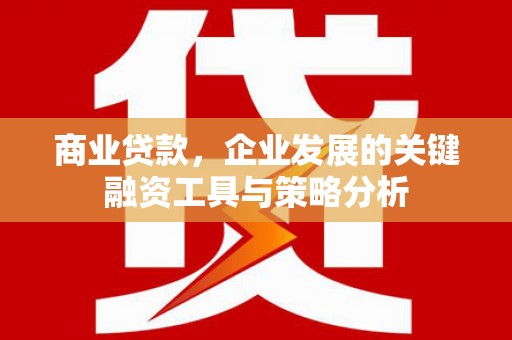 张掖商业贷款，企业发展的关键融资工具与策略分析