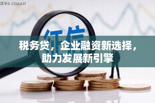 张掖税务贷，企业融资新选择，助力发展新引擎
