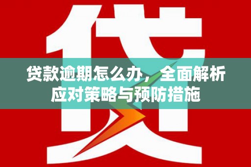 张掖贷款逾期怎么办，全面解析应对策略与预防措施