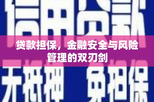 张掖贷款担保，金融安全与风险管理的双刃剑