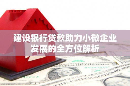 张掖建设银行贷款助力小微企业发展的全方位解析