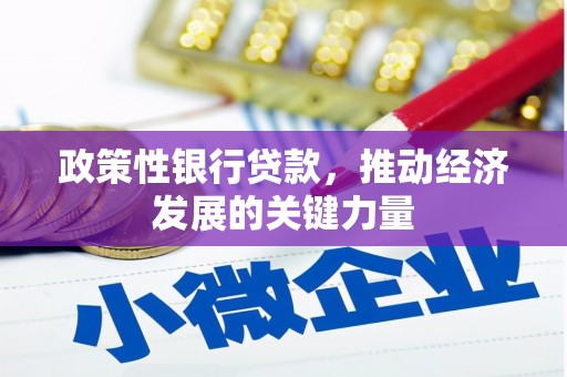 张掖政策性银行贷款，推动经济发展的关键力量