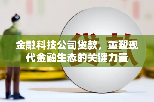 张掖金融科技公司贷款，重塑现代金融生态的关键力量