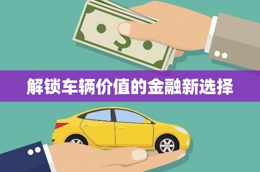 张掖解锁车辆价值的金融新选择