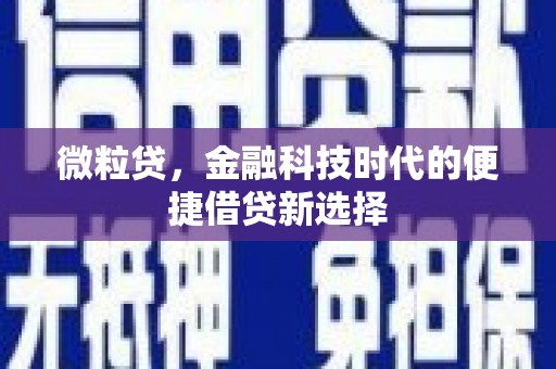 张掖微粒贷，金融科技时代的便捷借贷新选择