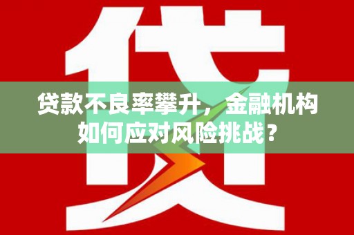 张掖贷款不良率攀升，金融机构如何应对风险挑战？