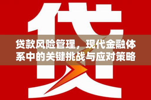 张掖贷款风险管理，现代金融体系中的关键挑战与应对策略