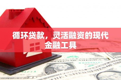 张掖循环贷款，灵活融资的现代金融工具