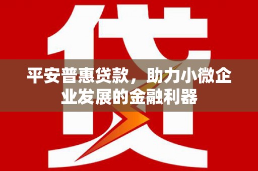张掖平安普惠贷款，助力小微企业发展的金融利器