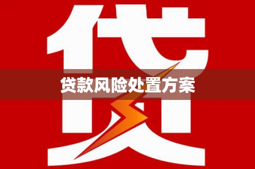 张掖贷款风险处置方案