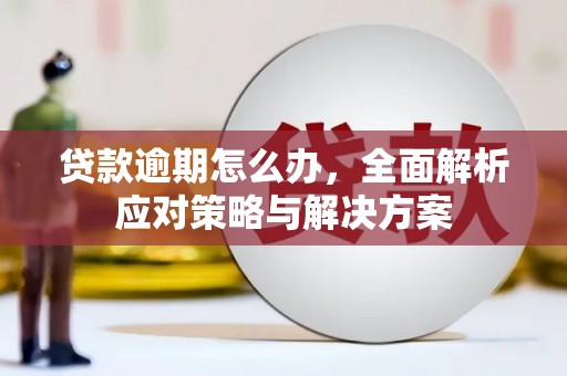 张掖贷款逾期怎么办，全面解析应对策略与解决方案