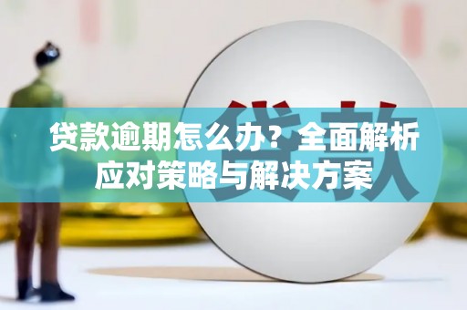 张掖贷款逾期怎么办？全面解析应对策略与解决方案