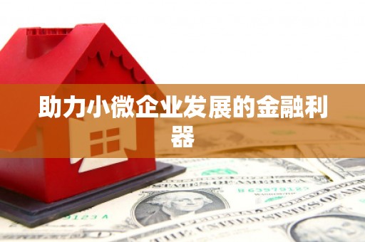 张掖助力小微企业发展的金融利器