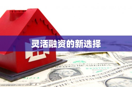 张掖灵活融资的新选择