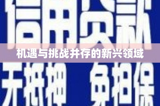 张掖机遇与挑战并存的新兴领域
