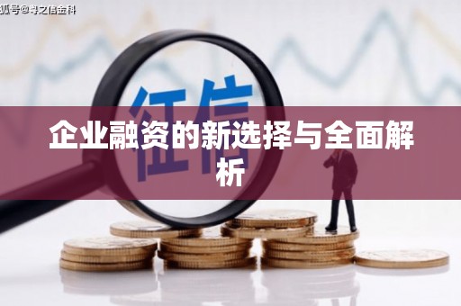 张掖企业融资的新选择与全面解析