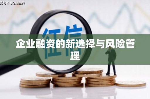 张掖企业融资的新选择与风险管理