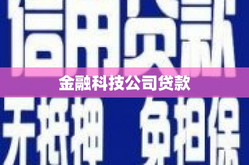 张掖金融科技公司贷款