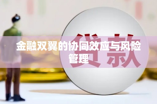 张掖金融双翼的协同效应与风险管理